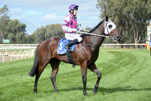 IMMORTAL LOVE IMPRESSES ON DEBUT..